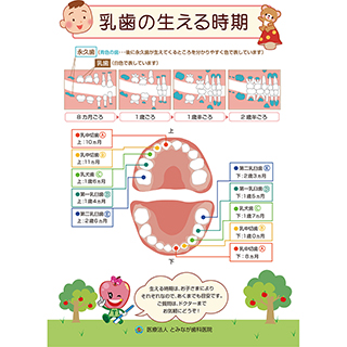 徳島 鳴門 あっぷるくらぶ 小児歯科