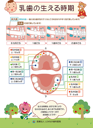 徳島 鳴門 あっぷるくらぶ 小児歯科